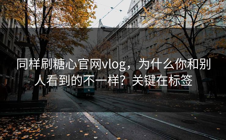 同样刷糖心官网vlog，为什么你和别人看到的不一样？关键在标签