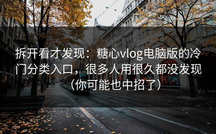 拆开看才发现：糖心vlog电脑版的冷门分类入口，很多人用很久都没发现（你可能也中招了）