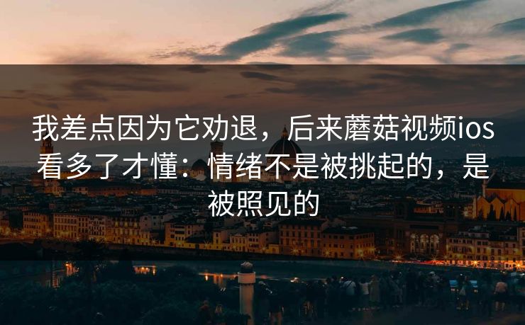 我差点因为它劝退,后来蘑菇视频ios看多了才懂:情绪不是被挑起的,是被照见的 我差点因为它劝退,后来蘑菇视频ios看多了才懂:情绪不是被挑起的,是被照见的