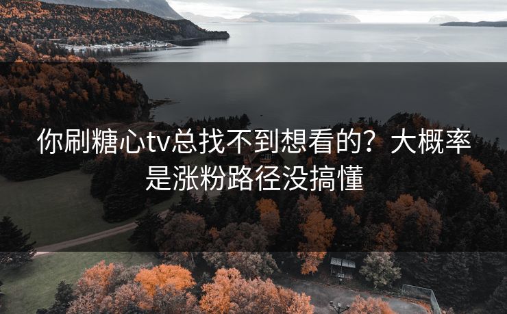 你刷糖心tv总找不到想看的？大概率是涨粉路径没搞懂